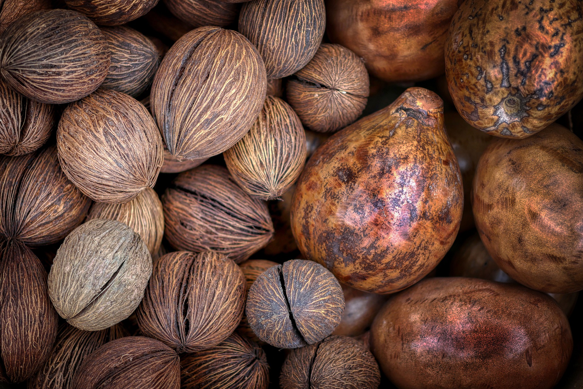 Nutmeg Image